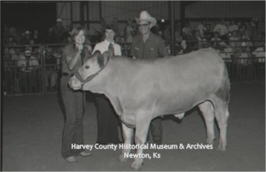Pam Dicken, Helen Sizelove and Claudie Sizelove with steer. Harvey County Fair 4-H events, photograph by Dr. C.M. Brown, 1978.